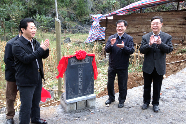 都安1.jpg